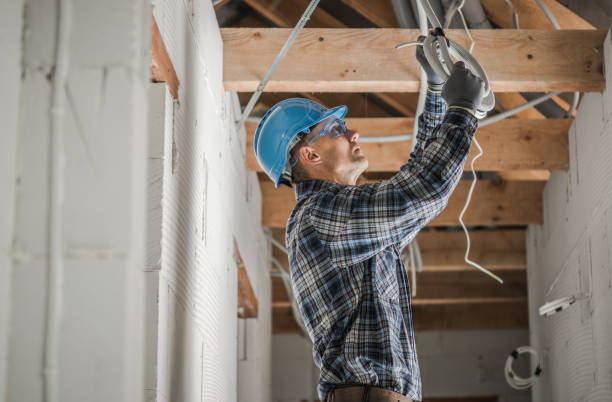 Best Electrical Repair Services  in Edneyville, NC