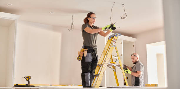 Best Electrician for Home Renovation  in Edneyville, NC