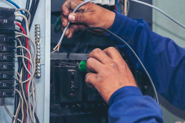 Best Licensed Electrician  in Edneyville, NC