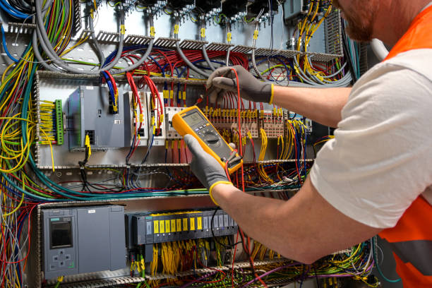 Best Electric Panel Repair  in Edneyville, NC